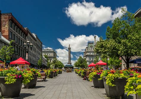 jacques cartier square montreal.